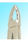 TOOTH FORCEPS Fig. 29  ENGLISH PATTERN FINE