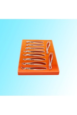 TOOTH EXTRACTION FORCEPS SET ENGLISH PATTERN 10PCS