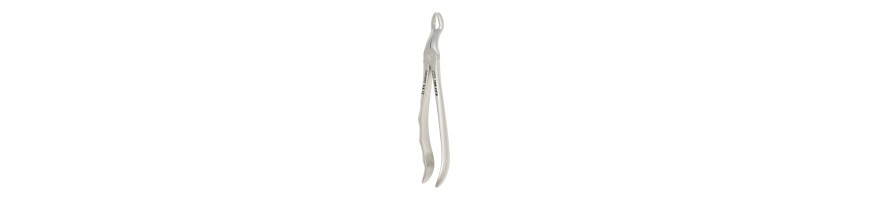Anatomical Handle Tooth Extraction Forceps